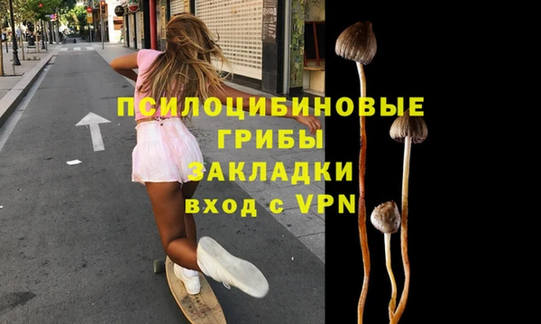меф Инсар