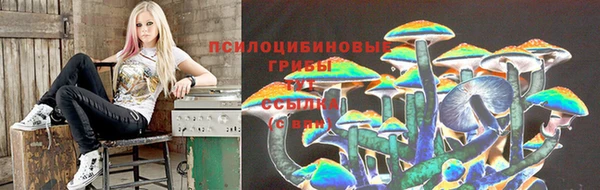 меф Инсар