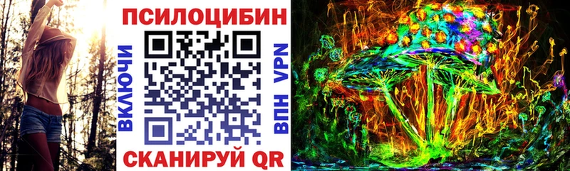 Псилоцибиновые грибы Cubensis  Купить где  Вилючинск 